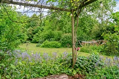 Tuin vanaf pergola.jpg